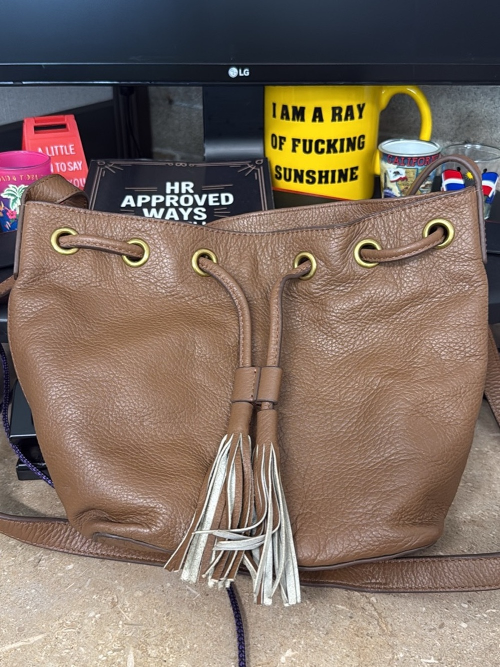 J. Crew Tan Brown Leather Tassel Drawstring Crossbody Bag